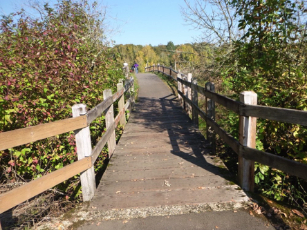 Paved trail with a slight lip to the wooden bridge with railing